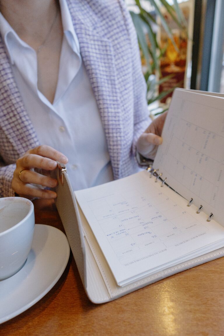 moneta paner calendar koristenje
